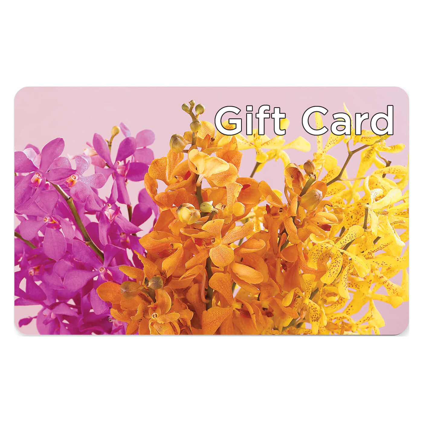 Gift Card arrangement option 4