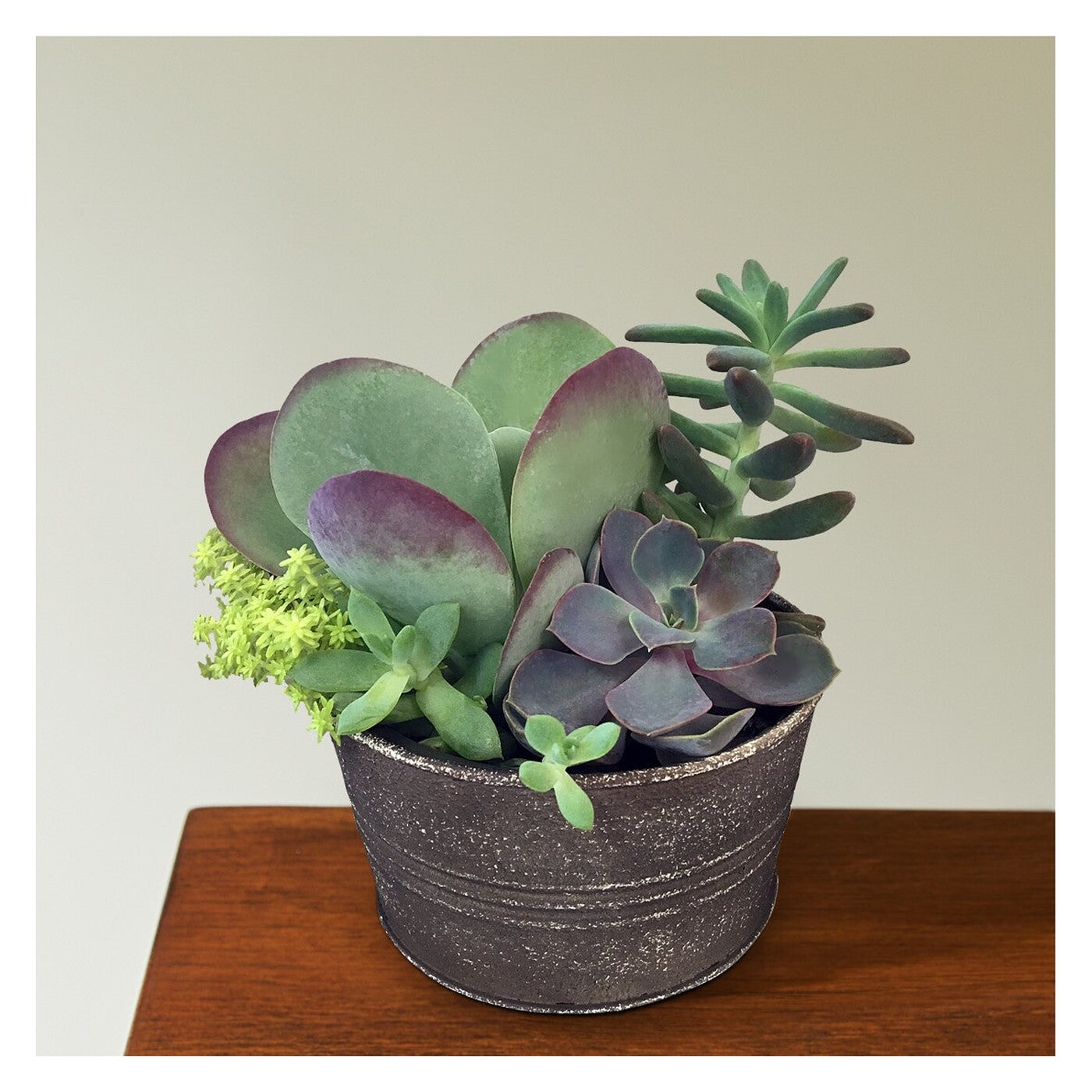 Lush Succulent Garden flower arrangement