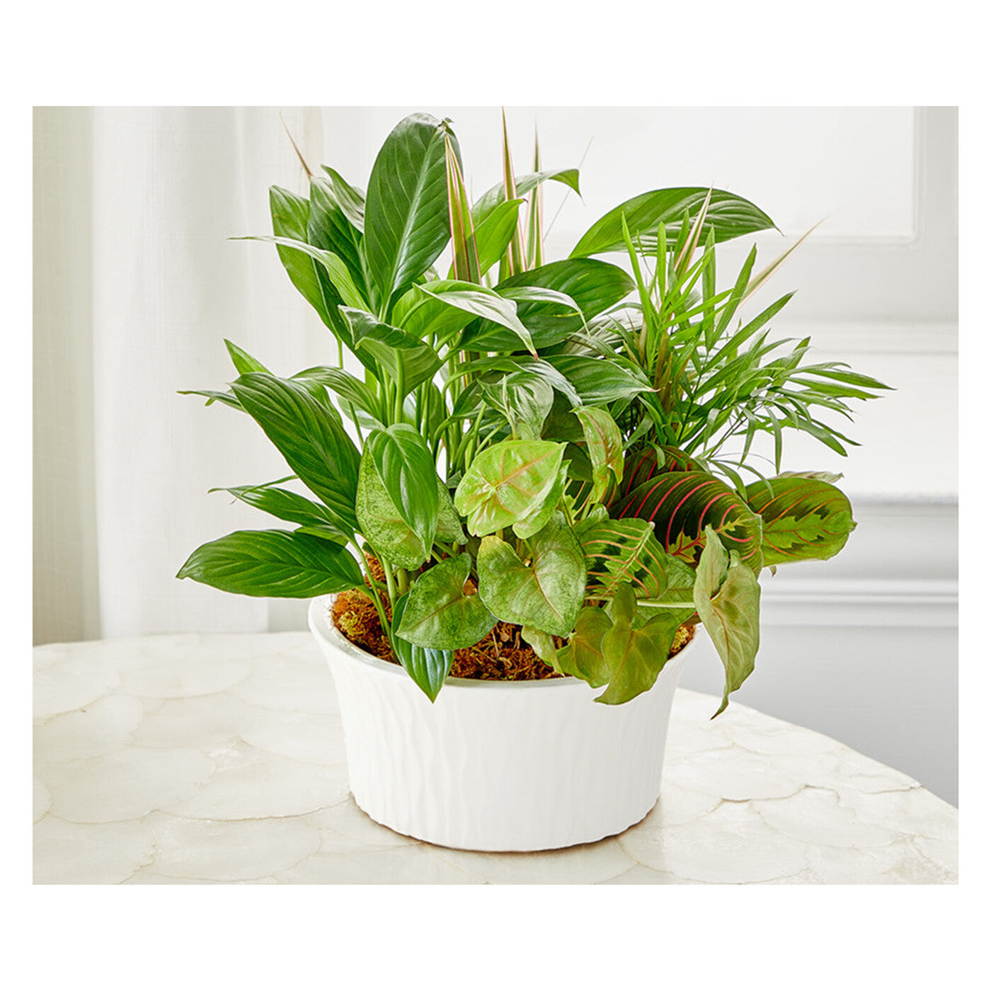 Balance & Harmony Dishgarden flower arrangement