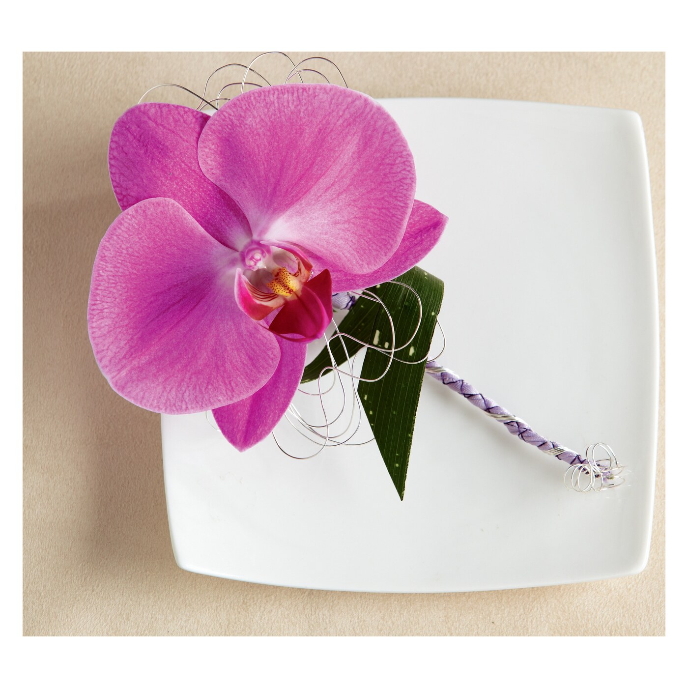 Modern Vineyard flower collection